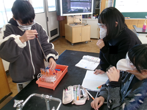 実験をしている様子