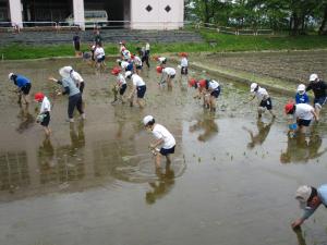 5月8日　田植え