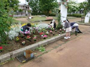 花壇の花植え
