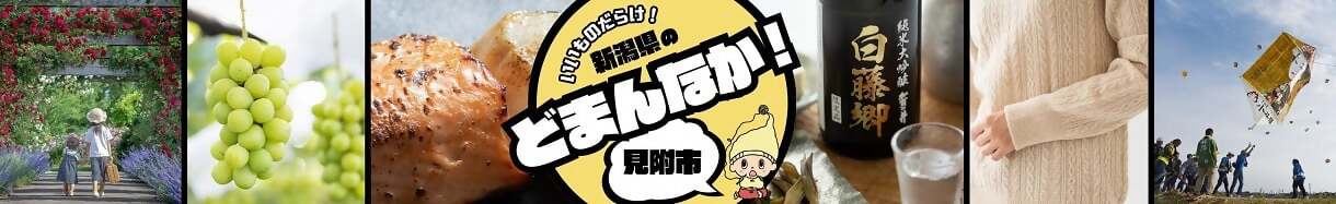 ふるさと納税のタイトル画像